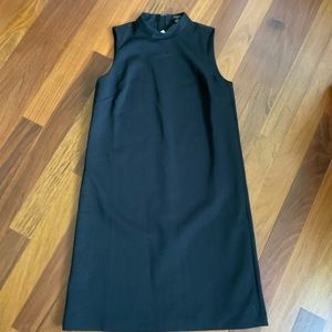 NWT Ann Taylor petite dress